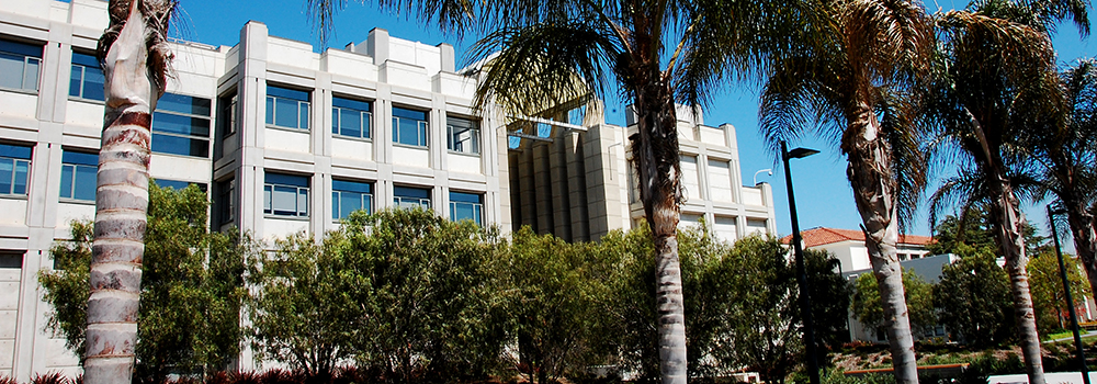 An exterior view of the Hilton Center for Business with palm trees in the foreground.